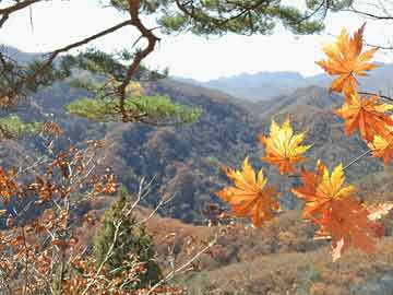 熹光曜日，探索光明力量与希望曙光的旅程