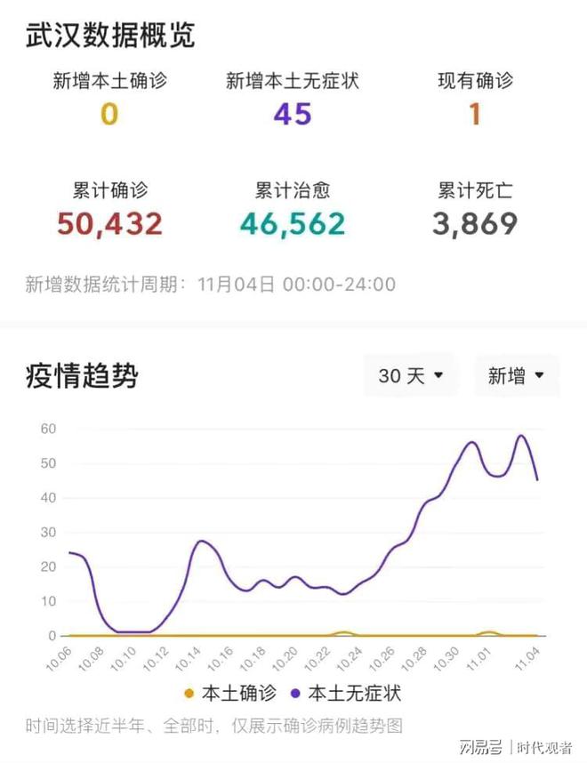 湖北疫情最新动态分析报告，11月疫情消息综述